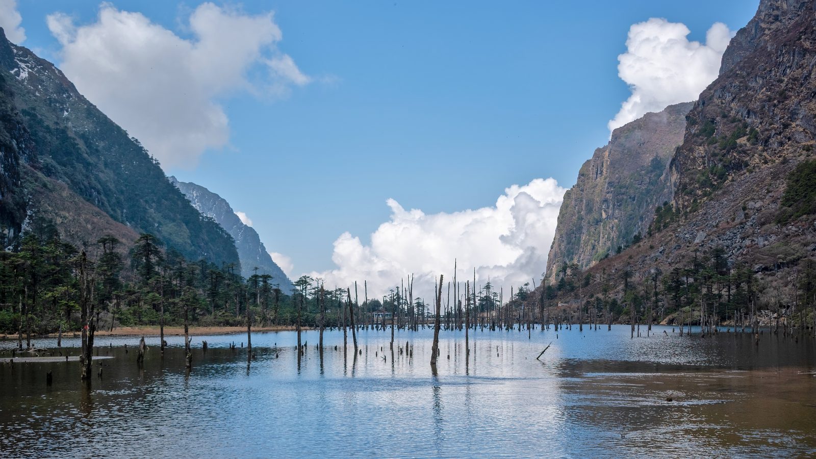 Sangetsar Tso (Madhuri Lake) near Tawang, with bleached fir trunks standing in the shallow water below bare ridges