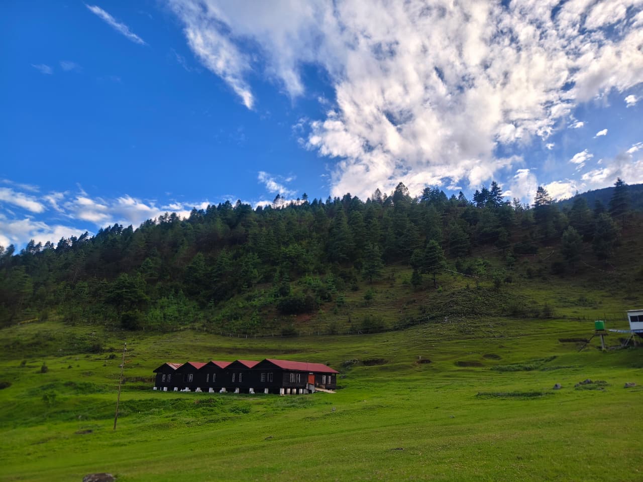 High meadow with wooden herders' huts below conifer forest on the Shergaon side of West Kameng