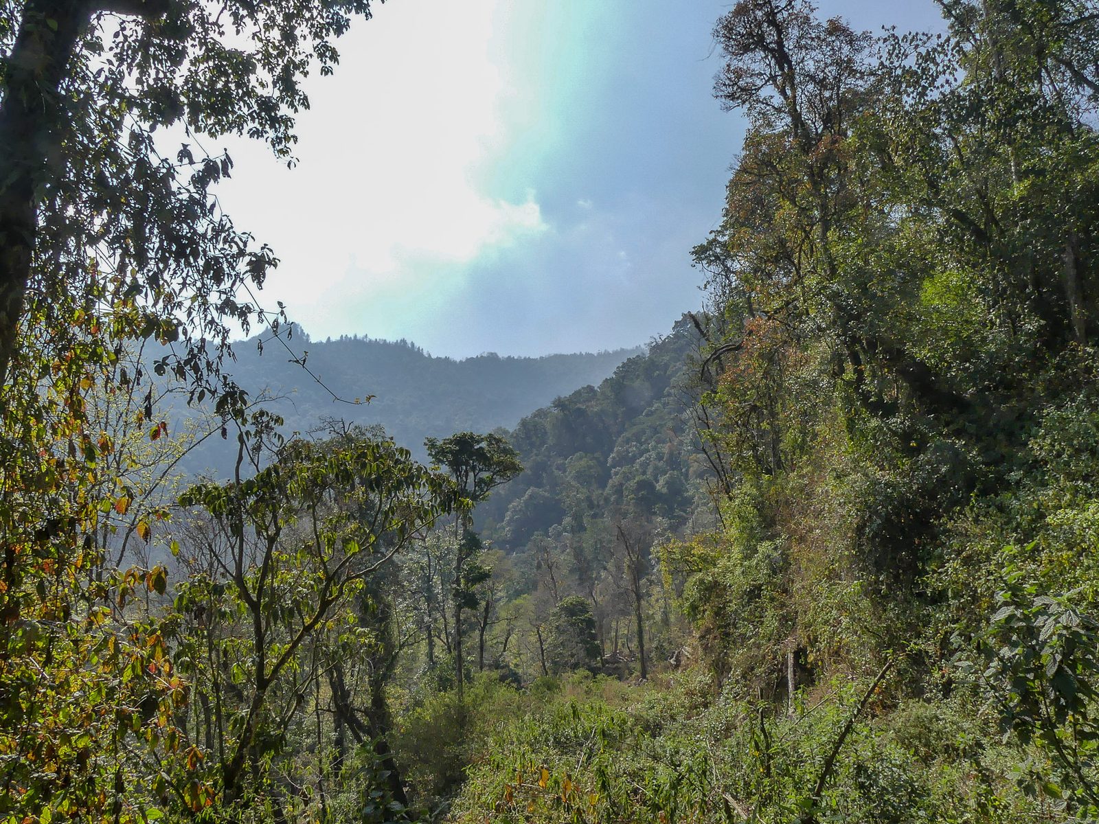 Eaglenest Wildlife Sanctuary